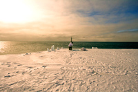 Howard readies a harpoon